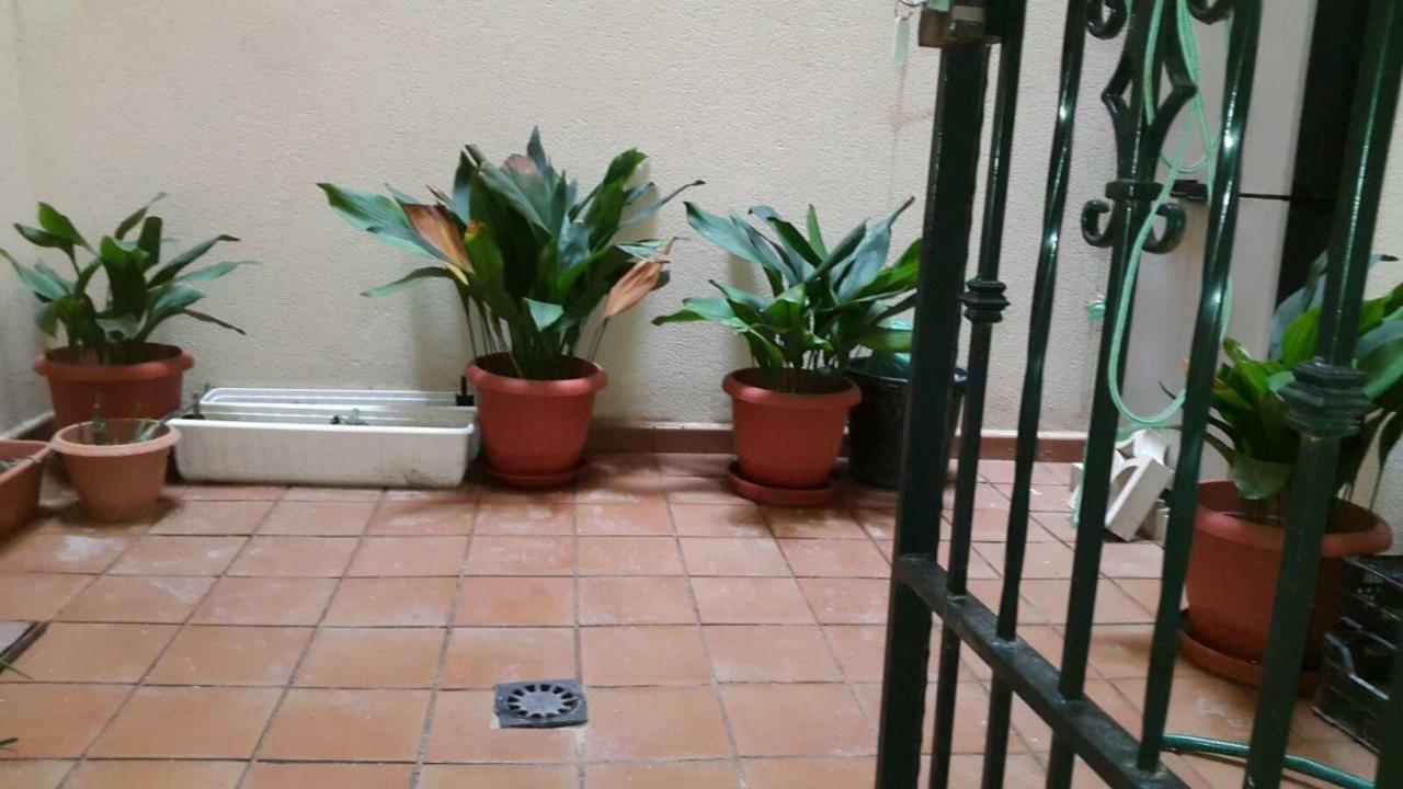 Appartement Sol Todo El Ano En *